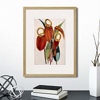 картина: exotic plants of the world №15, 1815г. в Кемерово