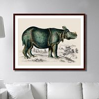 картина: rhinoceros, 1774г. в Кемерово