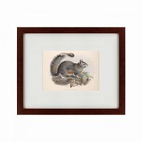 картина: the squirrel, 1879 в Кемерово