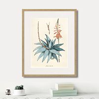 картина: fragmenta botanica №7, 1809г. в Кемерово