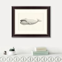 картина: bowhead whale (balaena mysticetus), 1856 в Кемерово