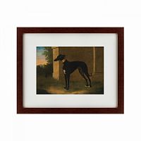 картина: portrait of a greyhound called pompon, 1746 в Кемерово