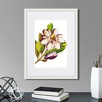 картина: caribian flora purple magnolia, 1740г. в Кемерово