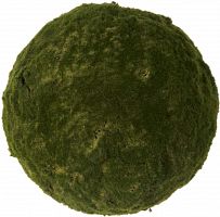 декор moss sun в Кемерово