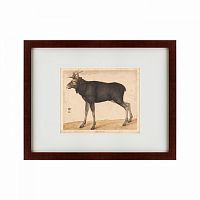 картина: moose, 1560 в Кемерово