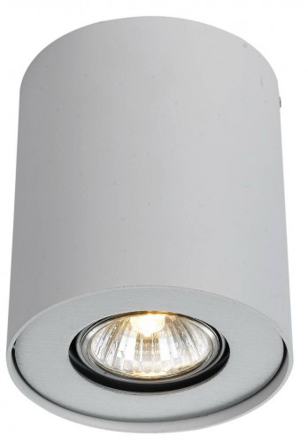 потолочный светильник arte lamp falcon a5633pl-1wh в Кемерово