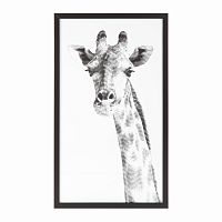 постер giraffe черный в Кемерово