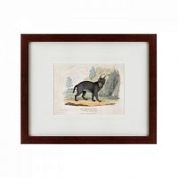 картина: a caracal or lynx, 1830 в Кемерово