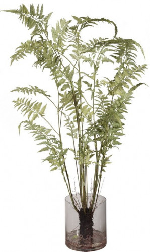декор fern в Кемерово