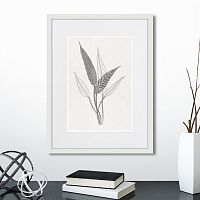 картина: the fern collection №6 в Кемерово