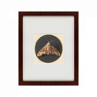 картина: owlet moth, 1700 в Кемерово